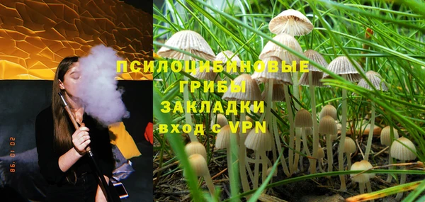дмт Алексеевка