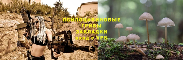 не бодяженный Абдулино