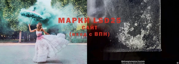 ПСИЛОЦИБИНОВЫЕ ГРИБЫ Зерноград